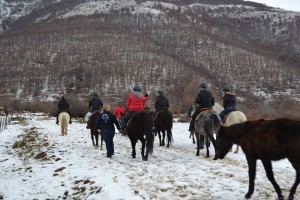 12510637_863288717120836_501188371_o