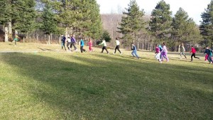 12794396_1701457486809123_3856036408619560250_n